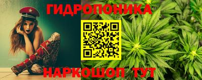 apvp Можга