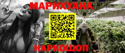 apvp Можга